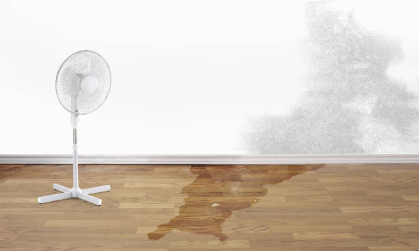 Best Residential water damage restoration  in Chilton, WI