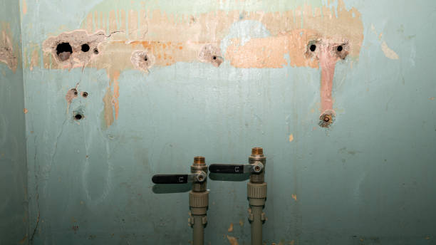 Best Commercial water damage restoration  in Chilton, WI