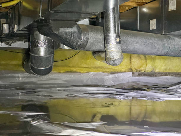Best Water damage cleanup near me  in Chilton, WI