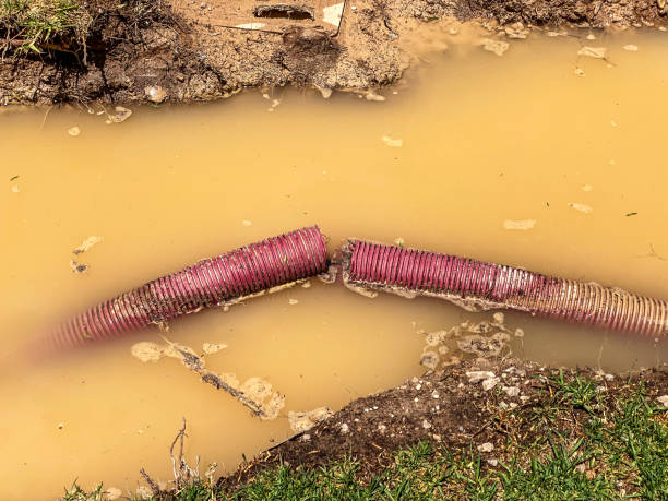 Best Basement water damage restoration  in Chilton, WI