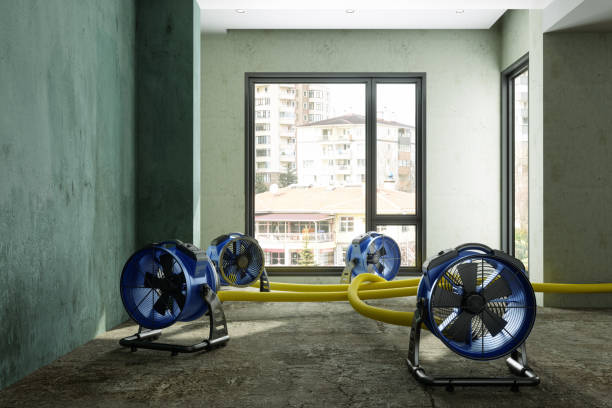Best Water damage mitigation services  in Chilton, WI