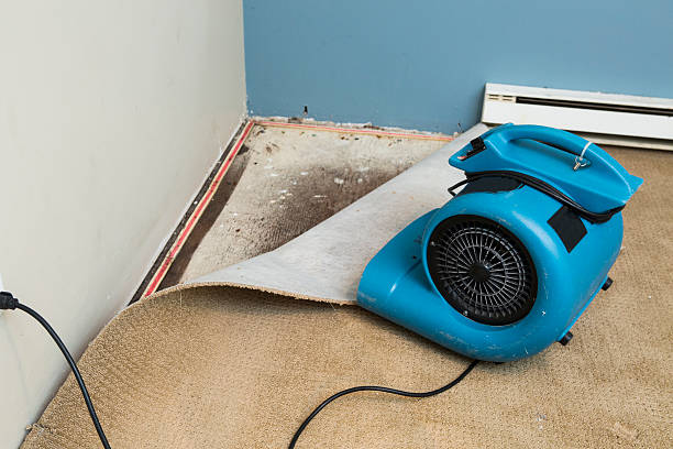 Chilton, WI Water damage restoration Pros